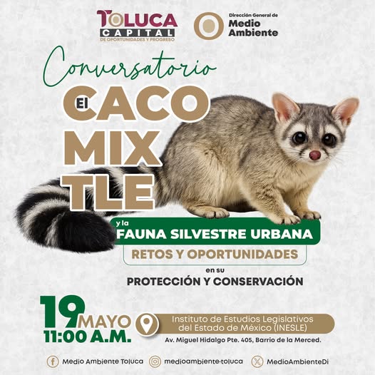 Imagen de sesión